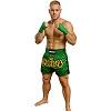 FIGHTERS - Muay Thai Shorts / Grün / Medium
