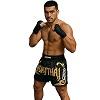 FIGHTERS - Muay Thai Shorts / Schwarz-Gold / Medium