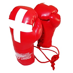 FIGHT-FIT - Mini Gants de Boxe / La Suisse