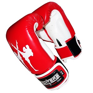 FIGHTERS - Gants de Boxe / Giant / Rouge / 10 oz