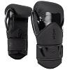 Challenger 4.0 / Gants De Boxe